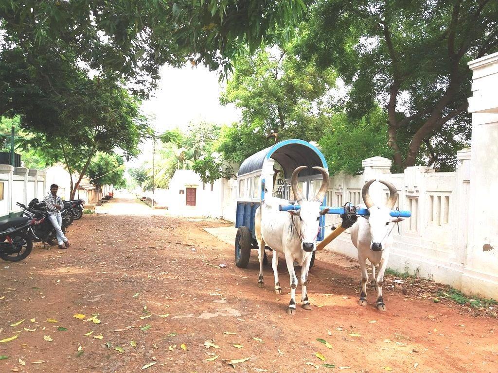 Chettinadu Mansion - An Authentic Heritage Palace Kānādukāttān Eksteriør bilde